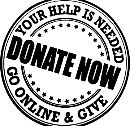 Waii Foundation donate now.png